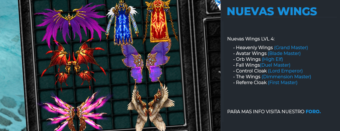Wings level 4